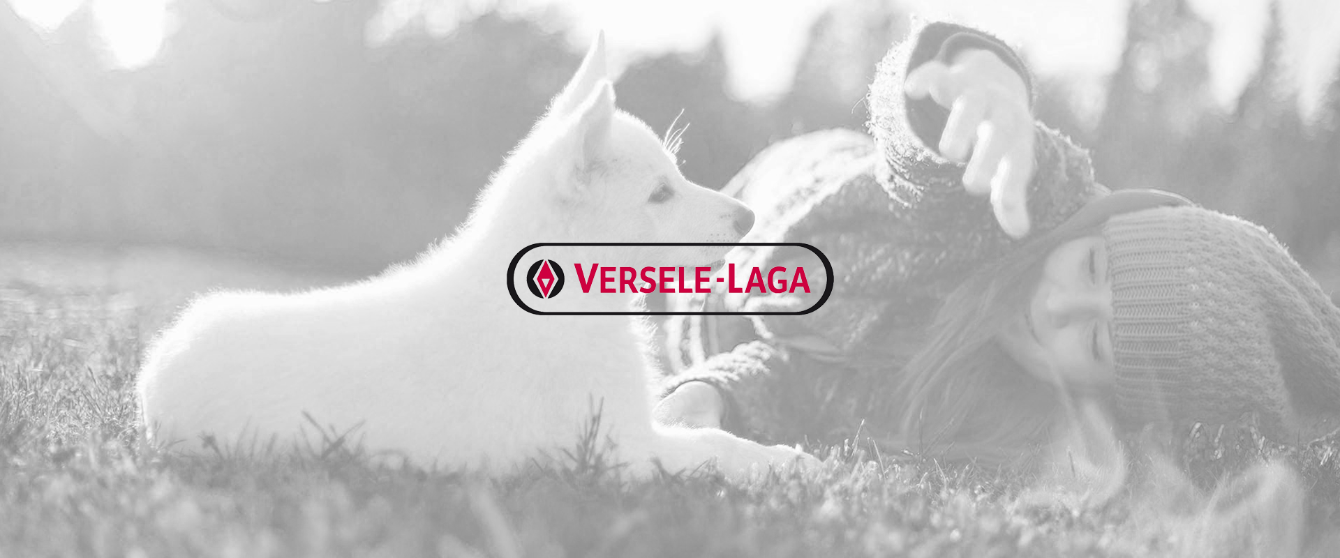 Versele-Laga: achieving digital maturity