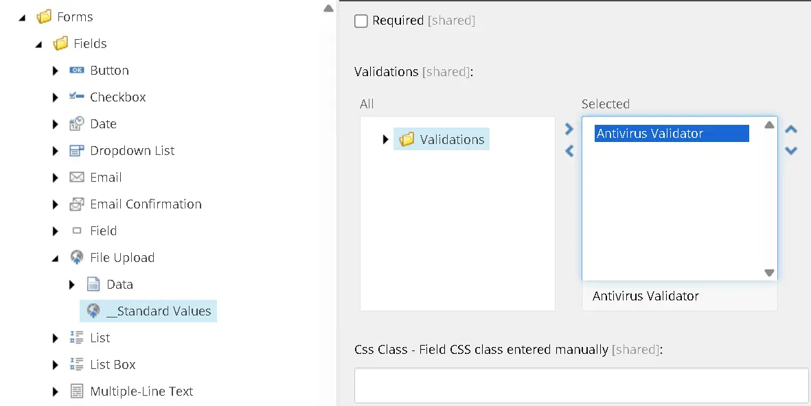 sitecore-forms-file-upload-standard-values-minimized.webp